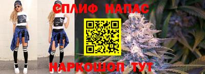 mdma Сланцы