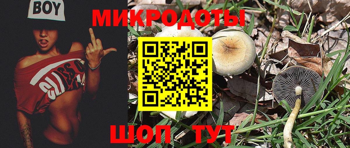 Псилоцибиновые грибы Cubensis  Вход с VPN  Галлюциногенные грибы Psilocybe  Новочебоксарск 
